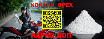 сатива Новозыбков