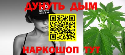 сатива Новозыбков