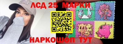 сатива Новозыбков