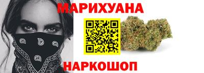 сатива Новозыбков