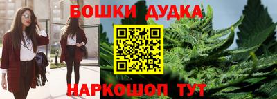 сатива Новозыбков