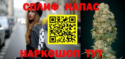 сатива Новозыбков