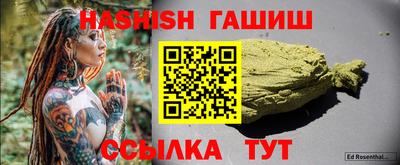 сатива Новозыбков