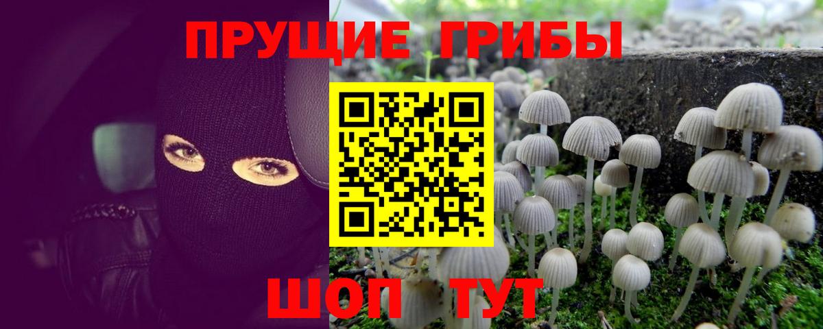 Галлюциногенные грибы Psilocybine cubensis  Галлюциногенные грибы GOLDEN TEACHER  Вход с VPN  Солнечногорск 